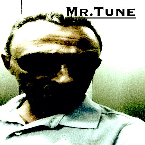 Mr.Tune February House garage chart