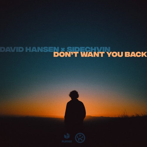 Want You Back