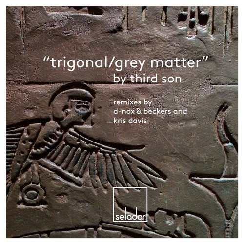 Cover art for Trigonal / Grey Matter