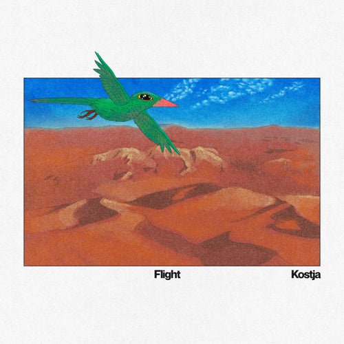 Flight