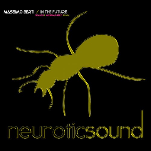 In the Future(Skauch & Massimo Berti Remix)