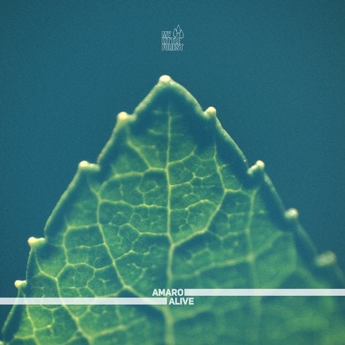 Cover art for Alive