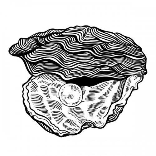 Kalahari Oyster Cult (BE)