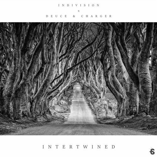 Indivision - Intertwined 2019 [Single]