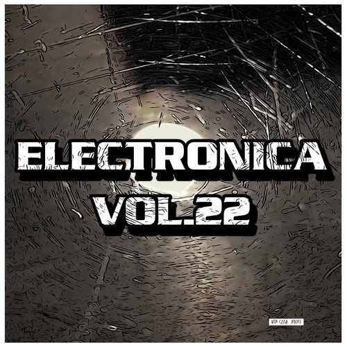Electronica, Vol. 22