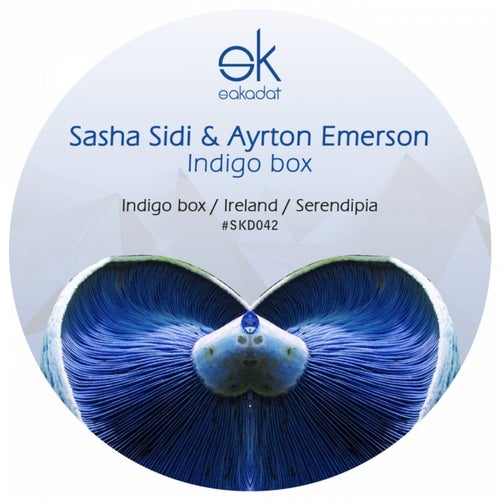 Indigo Box