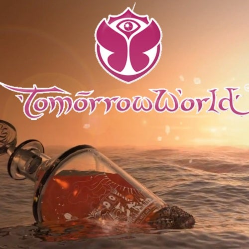 TomorowWorld 2013 Charts