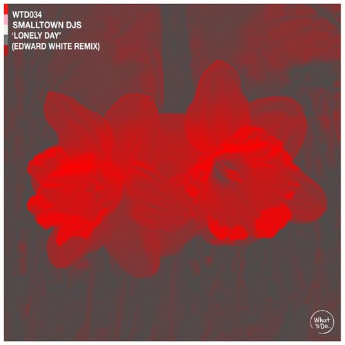 Lonely Day (Edward White remix)