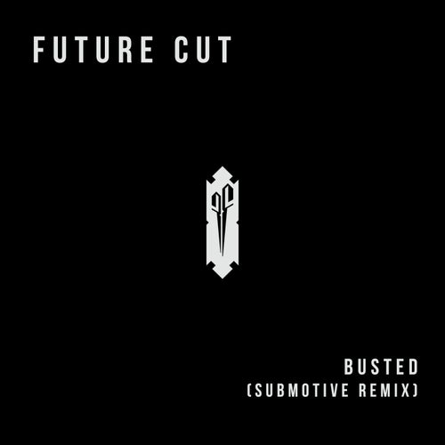 Cover art for Busted