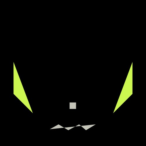 NIGHT OF