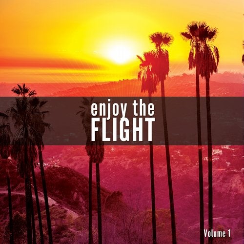 Cover art for Enjoy The Flight, Vol. 1 (A Smooth Airplane Music Journey)