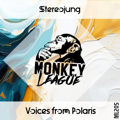  Stereojung - Voices From Polaris (2024) 