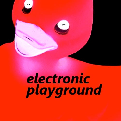 Electronic Playground