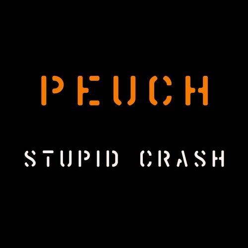 Stupid Crash