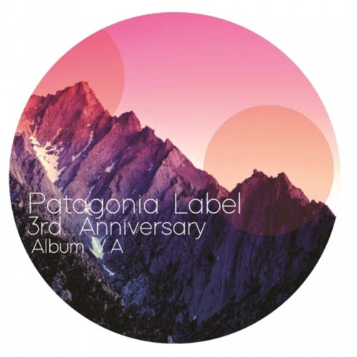 Patagonia Label Varios Artistas Vol. 3
