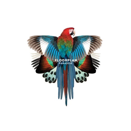 Cover art for Paradise