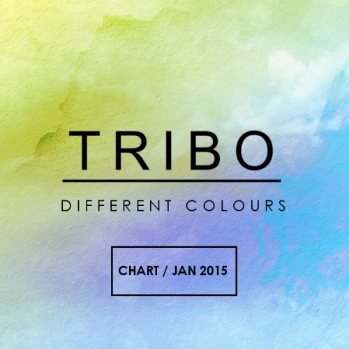 Tribo - Different Colours Chart January 2015
