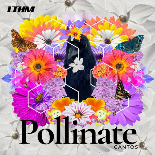 Pollinate
