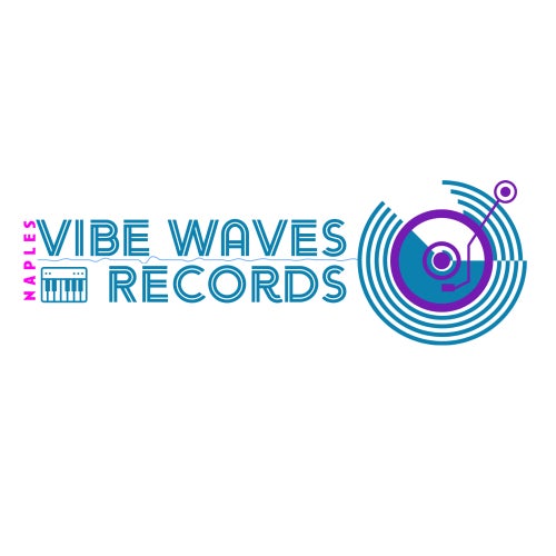 vibe waves records