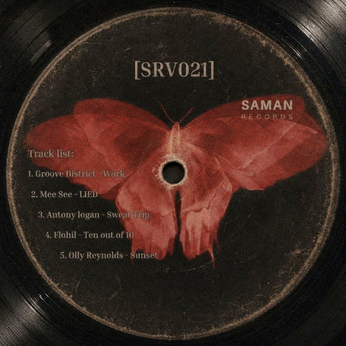 [Srv021]