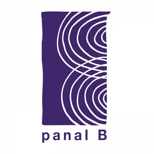 panal B