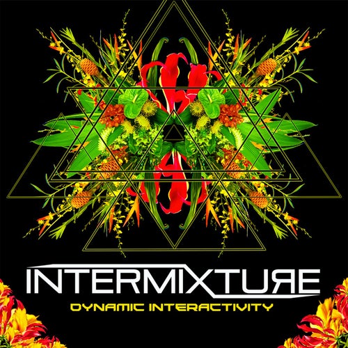 Dynamic Interactivity