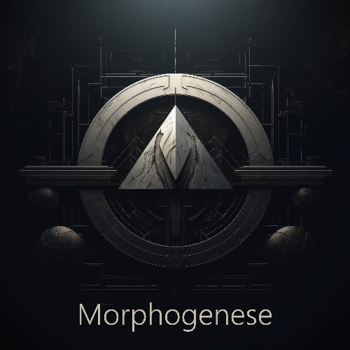 Morphogenese