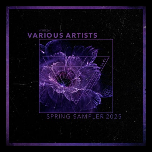 Spring Sampler 2025