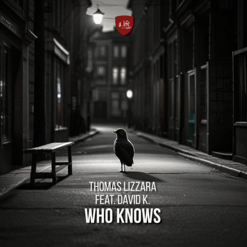  Thomas Lizzara ft David K. - Who Knows (2024) 