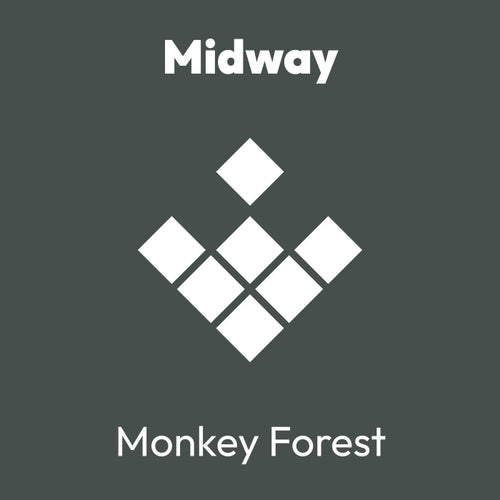 Monkey Forest