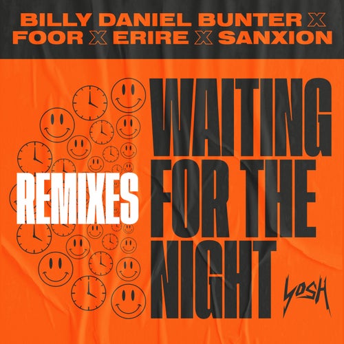 Waiting For The Night (Remixes)