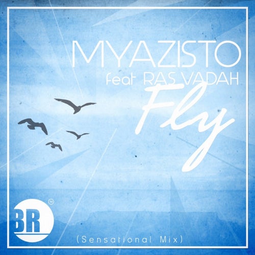 Fly