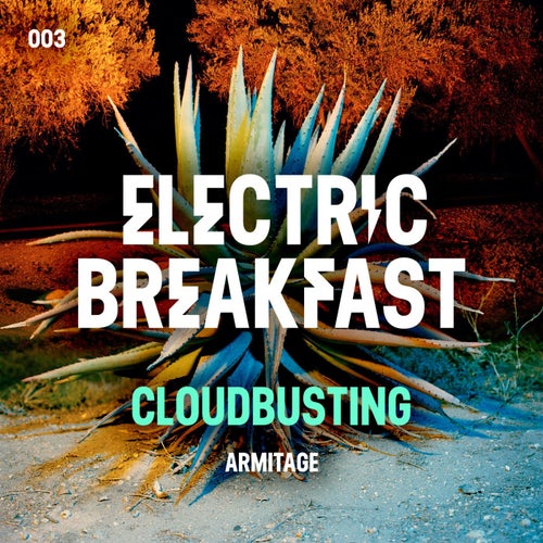 Cover art for Cloudbusting