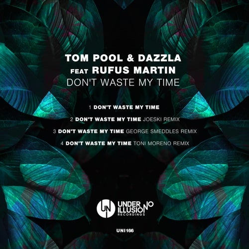 TOM POOL - DON´T WASTE MY TIME CHARTS 2020