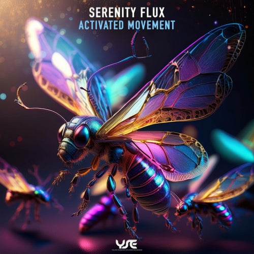  Serenity Flux - Activated Movement (2024) MP3 9edd081e-34d6-4955-8b2e-22956f924cf5