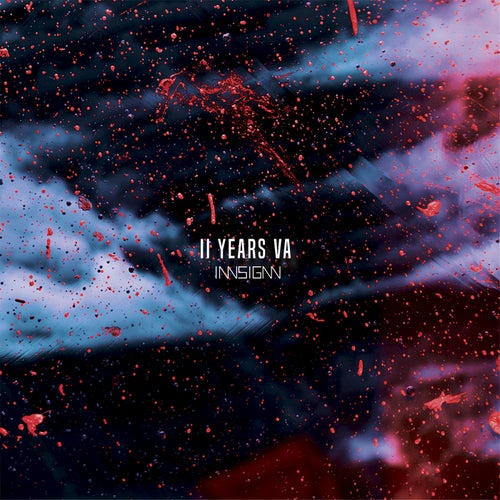 Cover art for INNSIGNN 2 Years VA