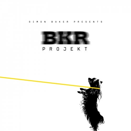 B.K.R. Projekt