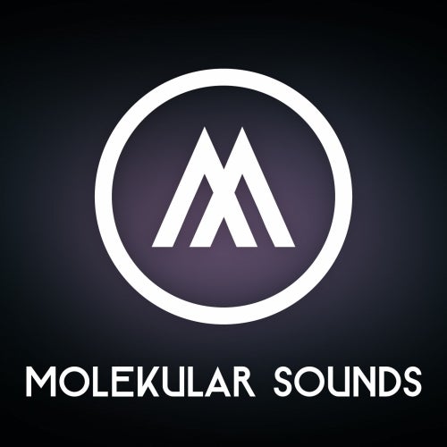 Molekular Sounds (RazNitzanMusic)