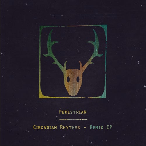 Circadian Rhythms (Remix)