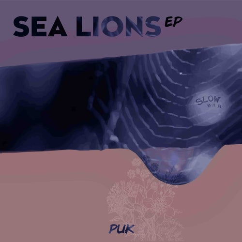 Sea Lions
