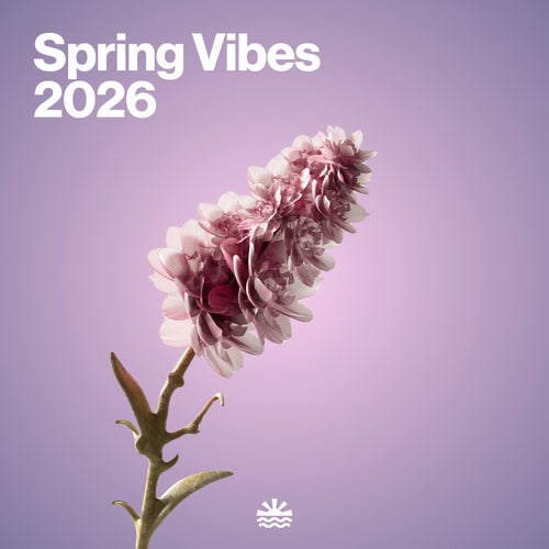Spring Vibes 2026
