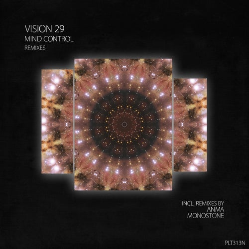 Mind Control / Remixes
