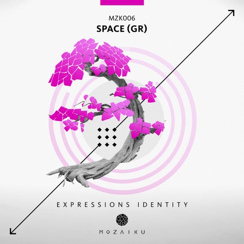 Expressions Identity