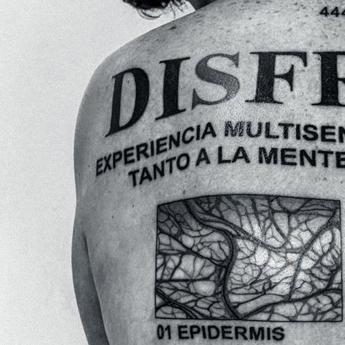 01. EPIDERMIS