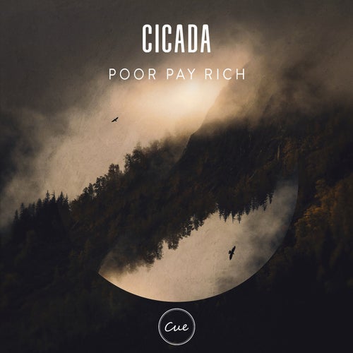 Cicada