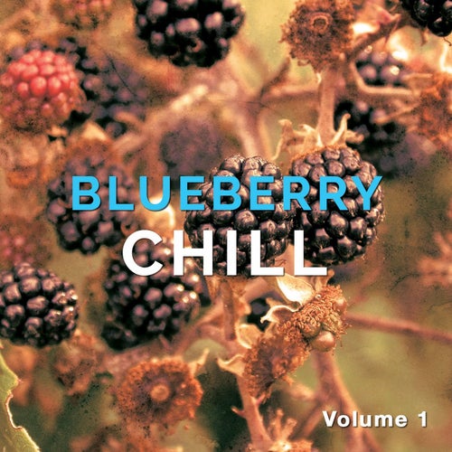 Blueberry Chill, Vol. 1 (Fruity Chill out & Lounge Beats)
