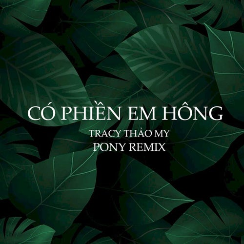 Có Phiền Em Hông (Pony Remix)