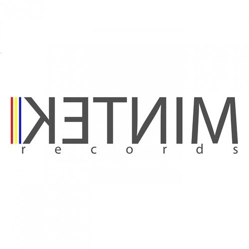 Mintek Records