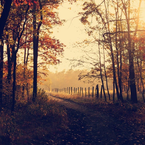 Anything Endless Is Wonderous