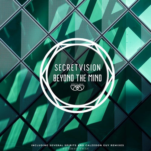 Beyond the Mind